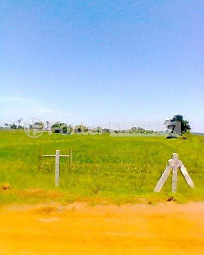 Imagem 1 de 12 de Terreno, 66000 M², Harmonia - 173430
