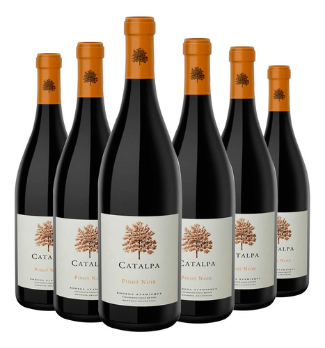 Vino Catalpa Pinot Noir 6x750cc Bodega Atamisque