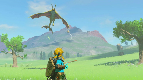 The Legend Of Zelda Tears Of The Kingdom Switch Físico