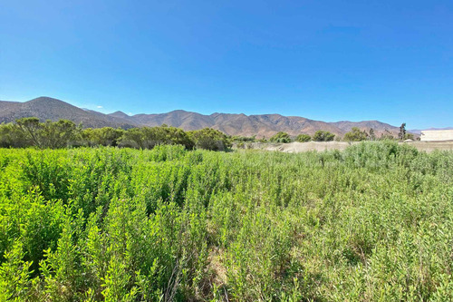 Imagen 4 de 12 de Se Vende Terreno En Fundo La Calera Vicuña