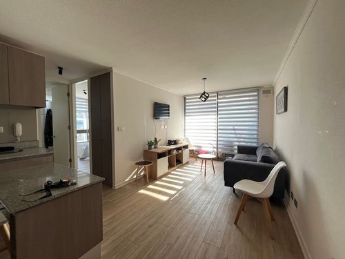 Dpto Arriendo Amoblado 2d Y 1b, Ñuñoa