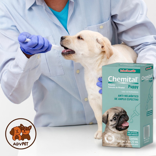 Chemital Puppy Vermífugo Cães Filhote 20ml Kit Economico C/3