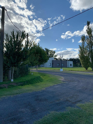 Terreno Lote En Venta En Arrecifes, Resto De La Provincia, Buenos Aires