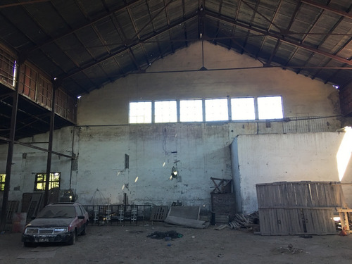 Bodega Boutique Y Finca En San Rafael. Terreno Apto Para Loteo De 650 Lotes De 400 M2 C/u. Alquiler De Tierra Para Pasto O Ajo. Oportunidad Para Invertir En San Rafael, Mendoza.