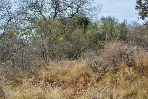 Hectareas En Cañada La Negra