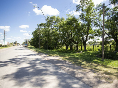 Imagen 10 de 17 de Terreno En Venta En San Antonio De Areco