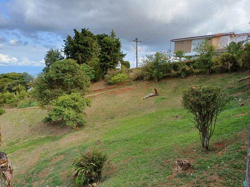 Venta Dapa Casa Finca Para Remodelar A Su Gusto, Sector Miravalle Yumbo Dapa Finca Lote Casa Campestre