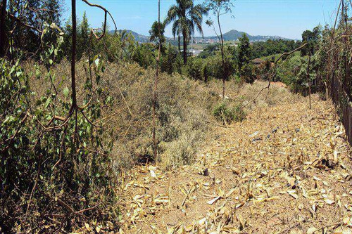Imagem 2 de 4 de Terreno, Chácara Estela, Santana De Parnaíba - R$ 450 Mil, Cod: 110300 - V110300