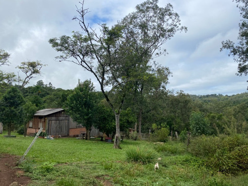 Chácara 17.800 M² - Fazenda Fialho - Taquara - Rs - 2060 - 33624263