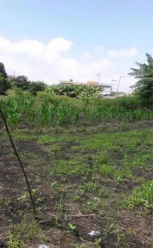 Terreno De 2.000m2 Próximo Ao Aeroporto De Cumbica