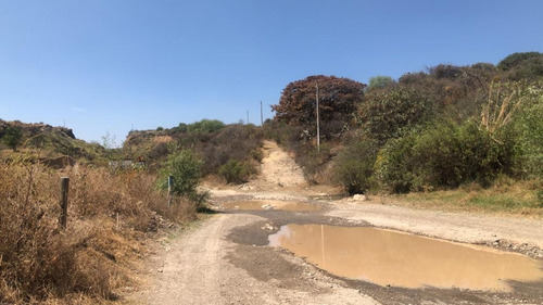 Imagen 2 de 4 de Venta De Terreno En Rancho Blanco