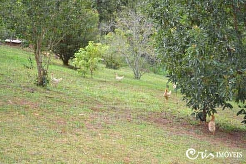 Imagem 2 de 8 de Sítio Em Fazenda Velha - Pinhalzinho - Sp - Ch02/179