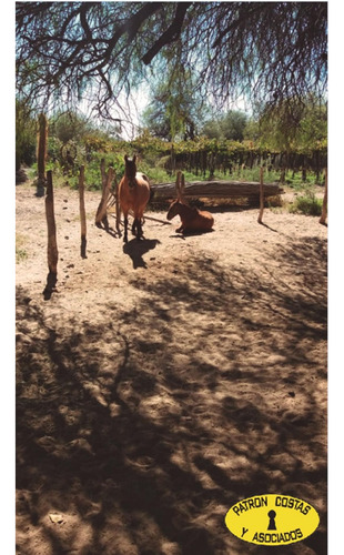 2401hp-hosteria Campo Valles Calchaquies