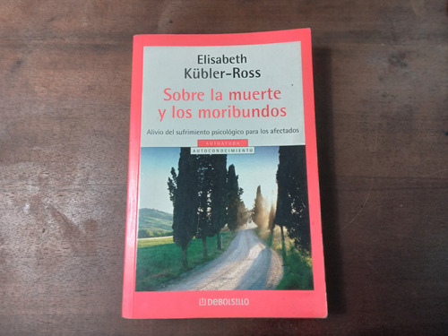 Libro Sobre La Muerte Y  Los Moribundos