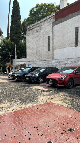 Terreno Limpio En Calle Tranquila Con Camellon De Palmeras En Colonia Narvarte