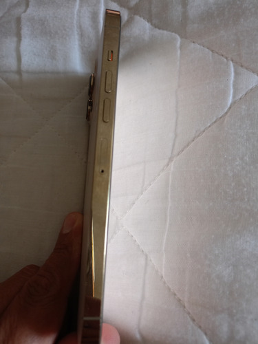 Apple iPhone 13 Pro Max (256 Gb) - Oro (Usado)