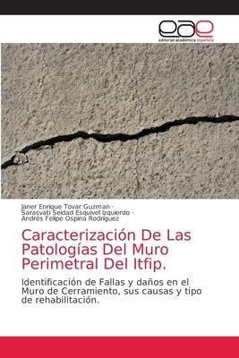 Caracterizacion De Las Patologias Del Muro Perimetral Daqwe