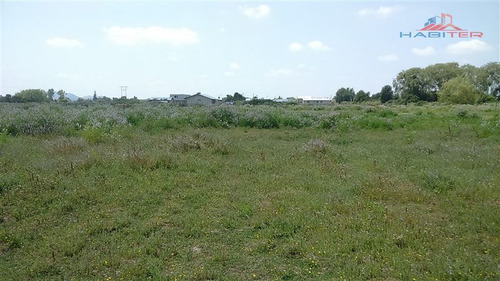 Imagen 22 de 30 de Agrícola En Venta En Linares