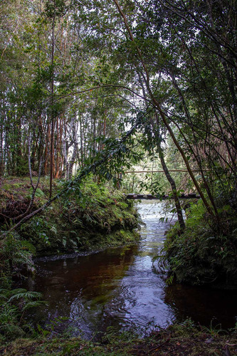 Lotes En Proyecto Ecológico, Hualaihue (69399)