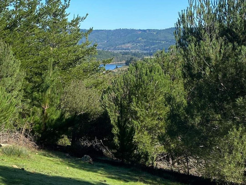 Parcelas A 8 Minutos Del Lago Vichuquén, Financiamientos