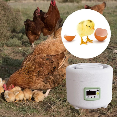 Mini Incubadora De Ovos, Ferramenta De Incubação De Aves