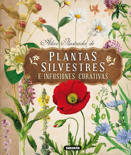 Atlas Ilustrado Plantas Silvestres E Infusiones Curativas -