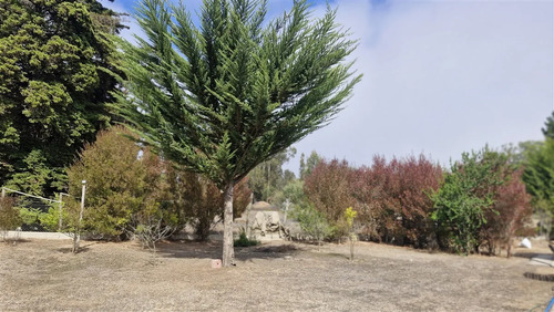 Parcela En Venta En Algarrobo
