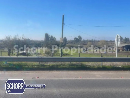 Sitio En Venta En Maule