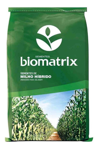60.000 Sementes Milho Hibrido Bm790 Pro3 Fortis Ndb C2m 60s