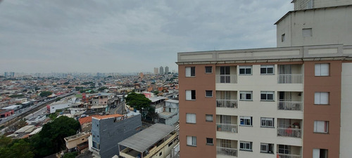 Imagem 9 de 15 de Apartamento À Venda No Bairro Sítio Do Mandaqui - São Paulo/sp - 146