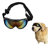 Comprar Grande Perro Anti-vaho Gafas Uv Protección Gafas De Sol Anch