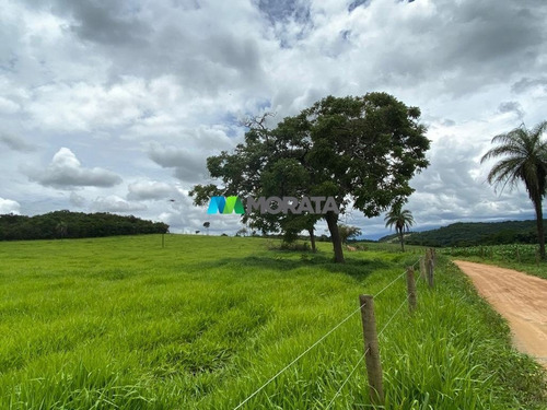 Imagem 11 de 15 de Fazenda - Zona Rural - Ref: 5345 - V-mta5345