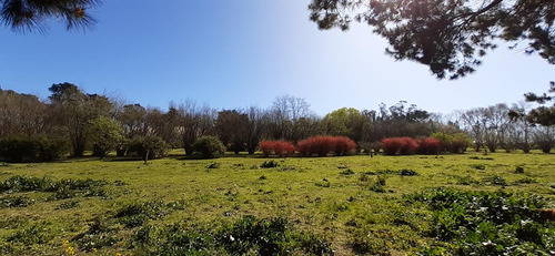 Fraccion De 8.1000 M² Parquizada Y Forestada