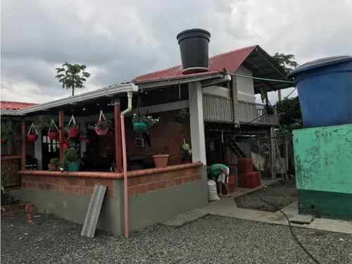 Venta Finca Productiva Cafe Platano Pasto Circasia - 23 Cuadras