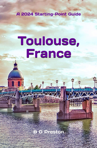 Libro: Toulouse, France: Plus The Haute-garonne Area Travel