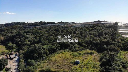 Imagem 6 de 23 de Área À Venda, 11914 M² Por R$ 5.766.419,56 - Cidade Industrial - Curitiba/pr - Ar0007