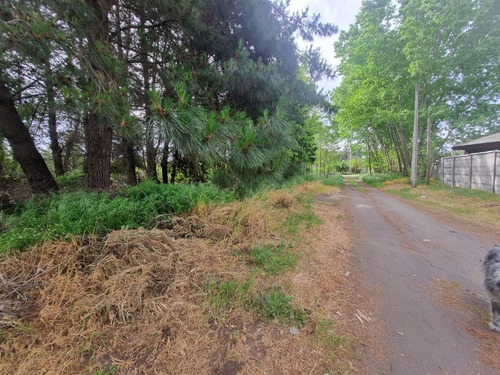 Parcela ( 3 Sitios Rol Propio Cada Uno)en Venta En Quillón