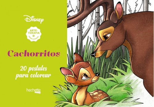 Libro Arteterapia. Cachorritos Disney - Vv.aa.