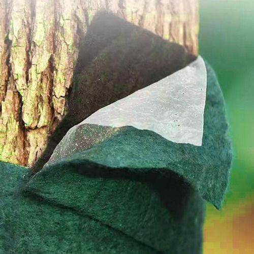 Protector De Tronco De Árbol De Invierno, Protección