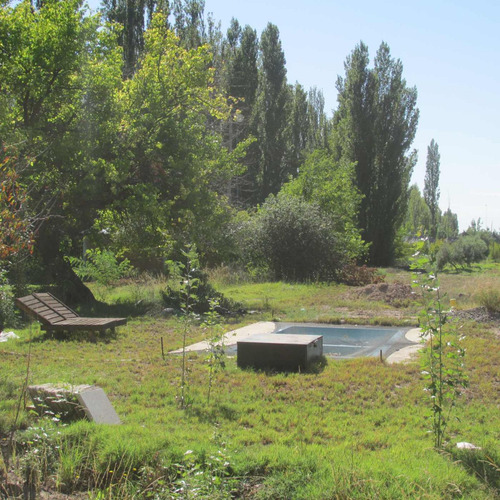 Venta Finca Olivos Ciruelas En San Rafael Mendoza