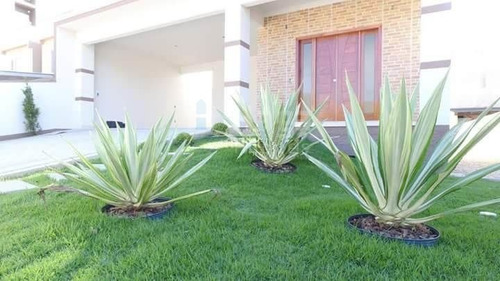 Imagem 11 de 30 de Casa À Venda Em Brusque/sc - 666