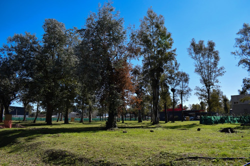 Lote (211) En Venta Terreno En Alvarez Del Bosque Con Financiación