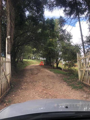 Imagem 21 de 23 de Chácara Com 2 Dormitórios À Venda, 32386 M² Por R$ 2.150.000,00 - Jardim O Bom Pastor - Campo Magro/pr - Ch0050
