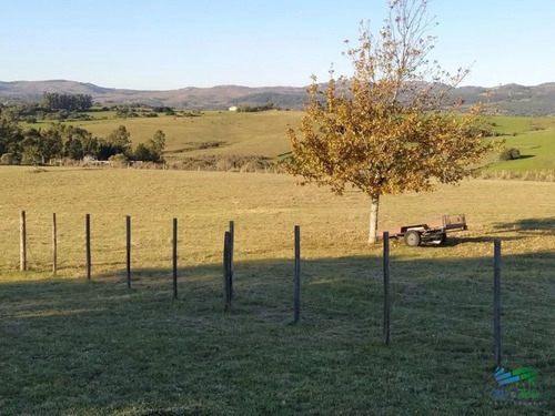 Imagen 11 de 20 de Vendo Chacra 5 Hectateas Con Casa En Ruta 39, Las Cañas - Las Cañas Las Cañas