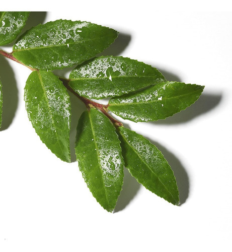 Olay Limpiador, Gel Profundo Con Aceite Esencial Árbol De Té Tipo de piel Todo tipo de piel