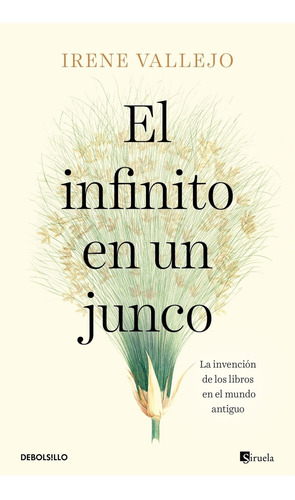 El Infinito En Un Junco - Irene Vallejo: La invención de los libros en el mundo antiguo, de Vallejo, Irene. Editorial Debolsillo, tapa blanda en español, 2020