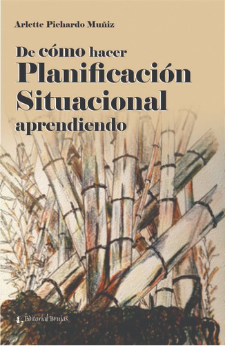 De Como Hacer Planificacion Situacional - Pichardo Brujas