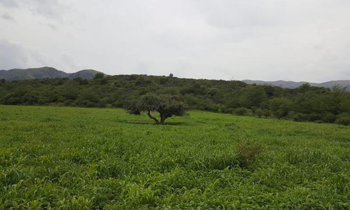Imagen 10 de 20 de Chacra En Venta, Villa Giardino, Córdoba.