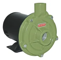 Comprar Bomba Centrífuga Centrífuga Monofásica Schneider Bc  Bc-92s 1c 2cv Cor Verde 60hz 127v\u002F254v