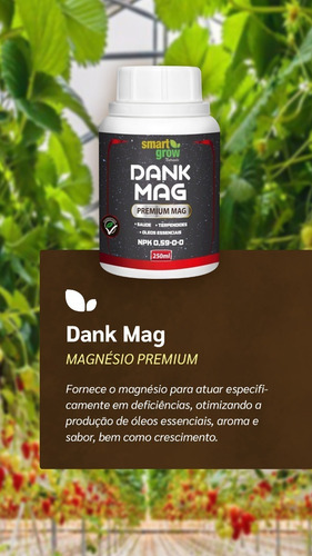 Imagem 3 de 5 de Fertilizante Smartgrow Dank Mag 250ml Ácido